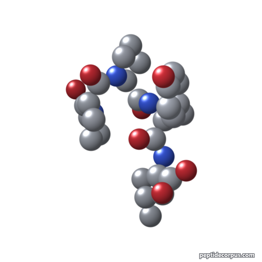 Space-filling 3D model of Acetyl Tetrapeptide-11, carbon grey, nitrogen blue, oxygen red