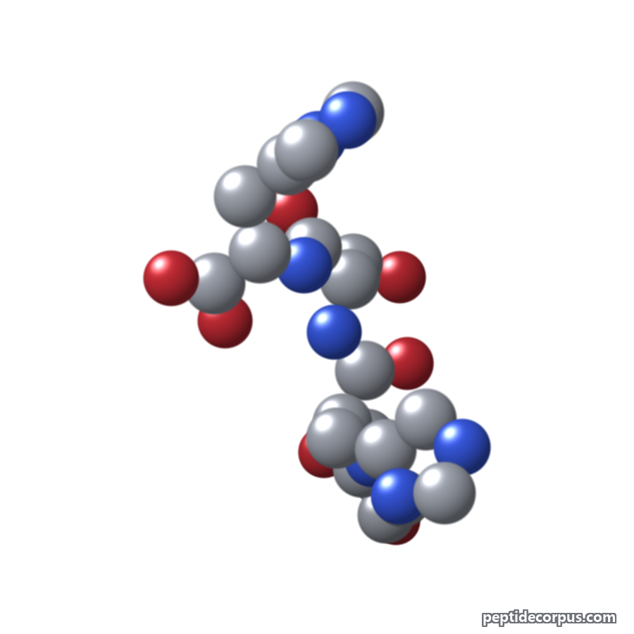Space-filling 3D model of Acetyl Tetrapeptide-5, carbon grey, nitrogen blue, oxygen red
