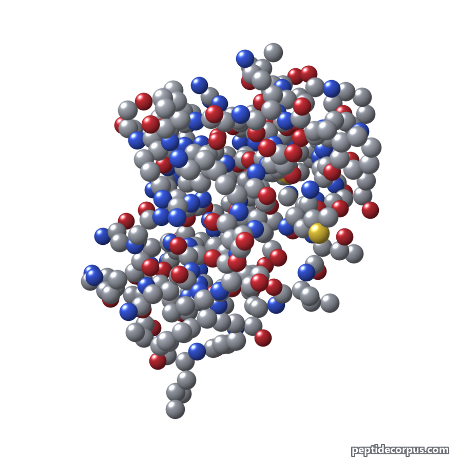Space-filling 3D model of Adrenomedullin, carbon grey, nitrogen blue, oxygen red