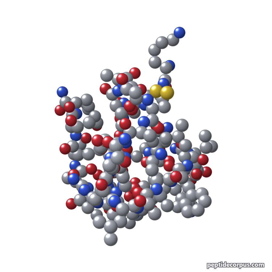 Space-filling 3D model of Amylin, carbon grey, nitrogen blue, oxygen red