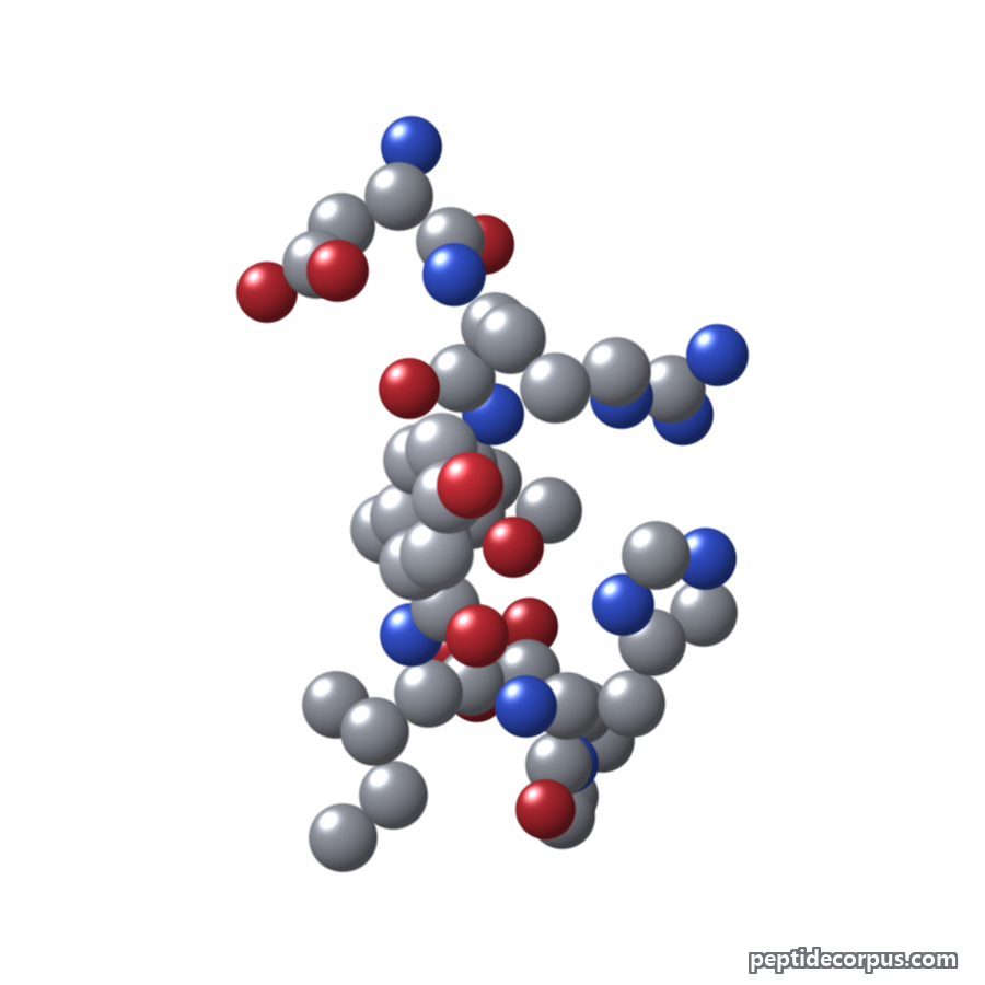 Space-filling 3D model of Angiotensin (1-7), carbon grey, nitrogen blue, oxygen red