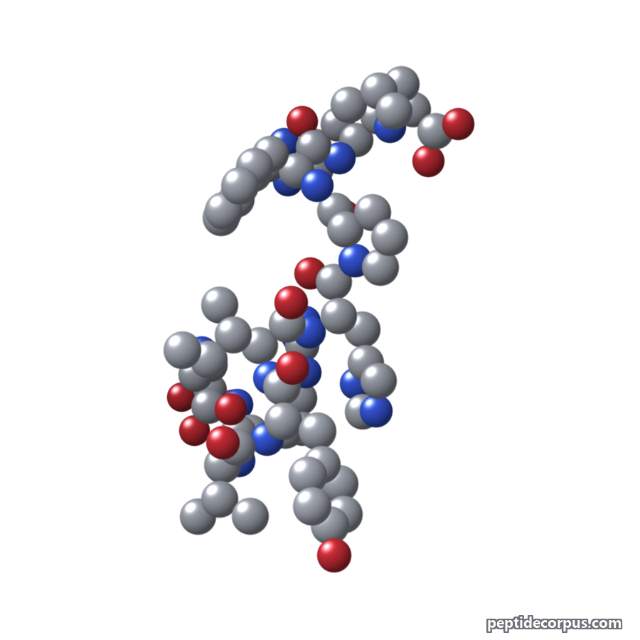 Space-filling 3D model of Angiotensin I, carbon grey, nitrogen blue, oxygen red