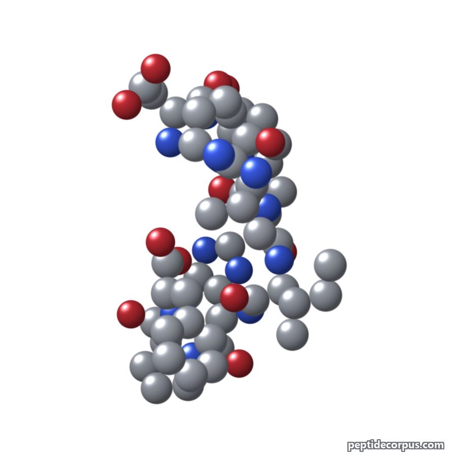 Space-filling 3D model of Angiotensin II, carbon grey, nitrogen blue, oxygen red