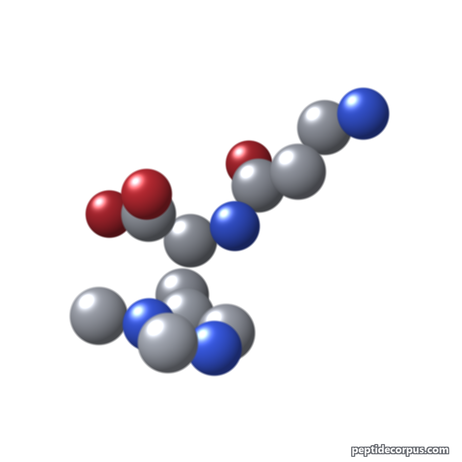 Space-filling 3D model of Anserine, carbon grey, nitrogen blue, oxygen red