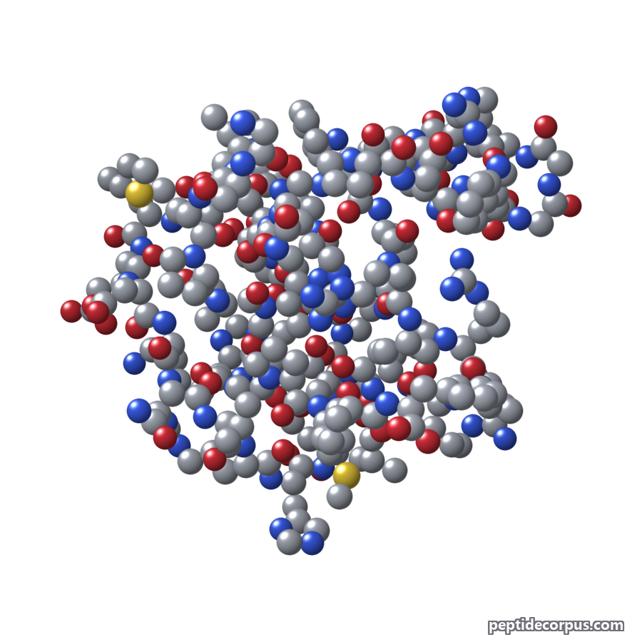 Space-filling 3D model of Apelin, carbon grey, nitrogen blue, oxygen red