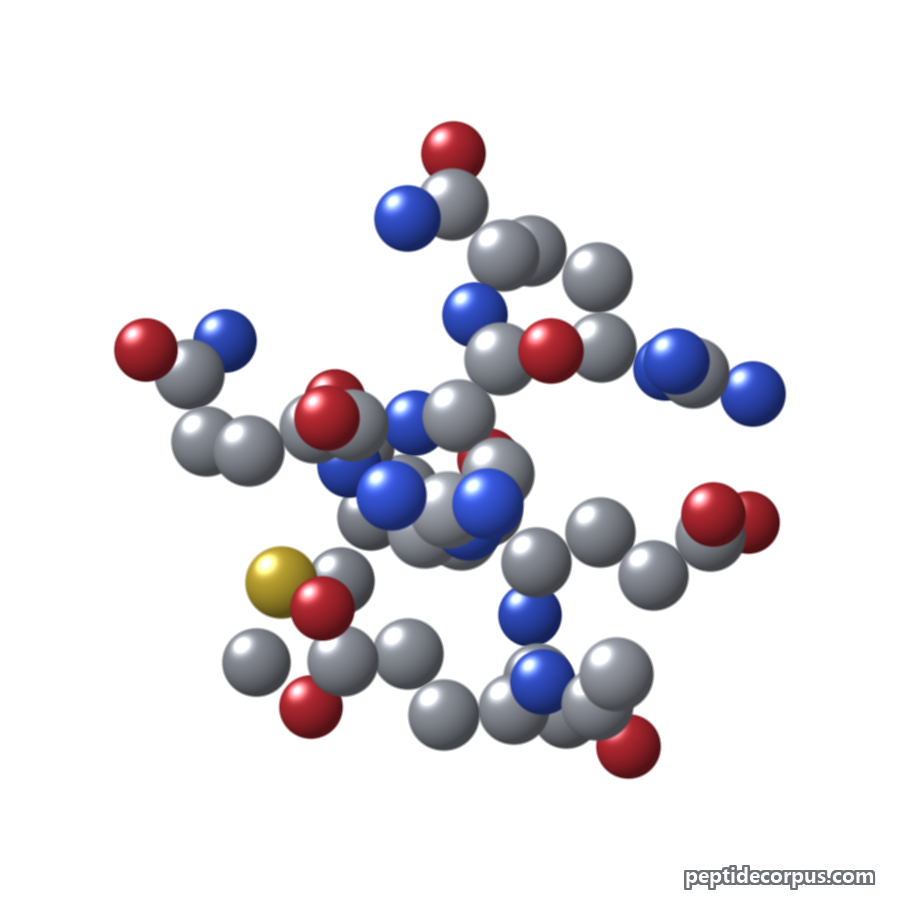 Space-filling 3D model of Argireline (Acetyl Hexapeptide-3), carbon grey, nitrogen blue, oxygen red