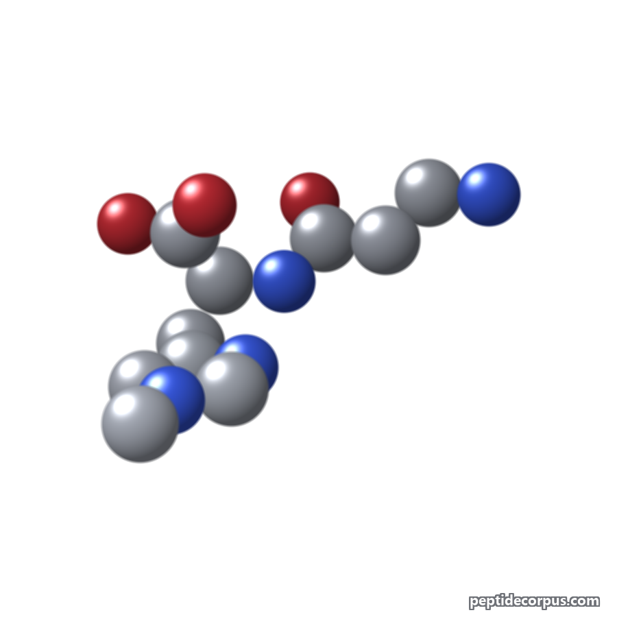 Space-filling 3D model of Balenine, carbon grey, nitrogen blue, oxygen red