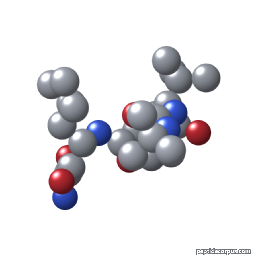 Space-filling 3D model of Boceprevir, carbon grey, nitrogen blue, oxygen red