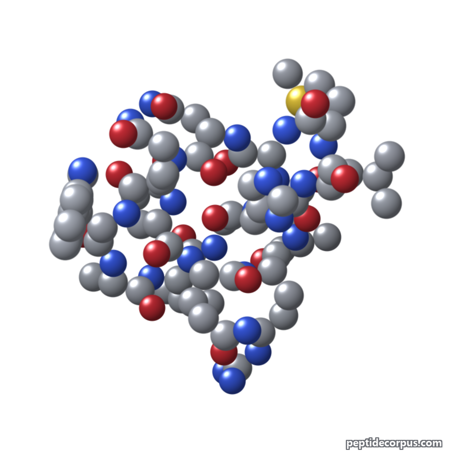 Space-filling 3D model of Bombesin, carbon grey, nitrogen blue, oxygen red