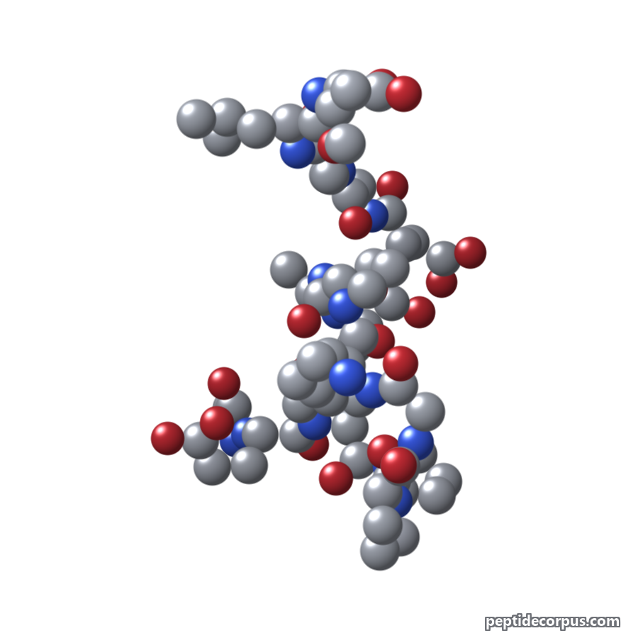 Space-filling 3D model of BPC-157, carbon grey, nitrogen blue, oxygen red