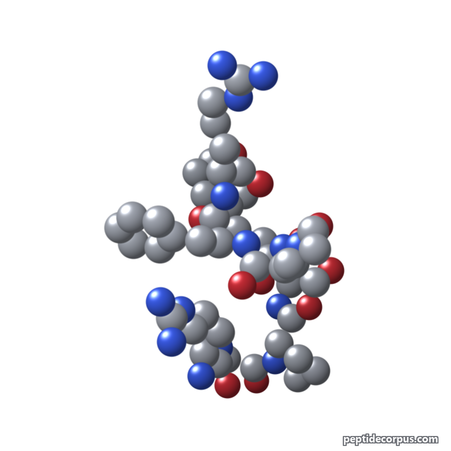 Space-filling 3D model of Bradykinin, carbon grey, nitrogen blue, oxygen red
