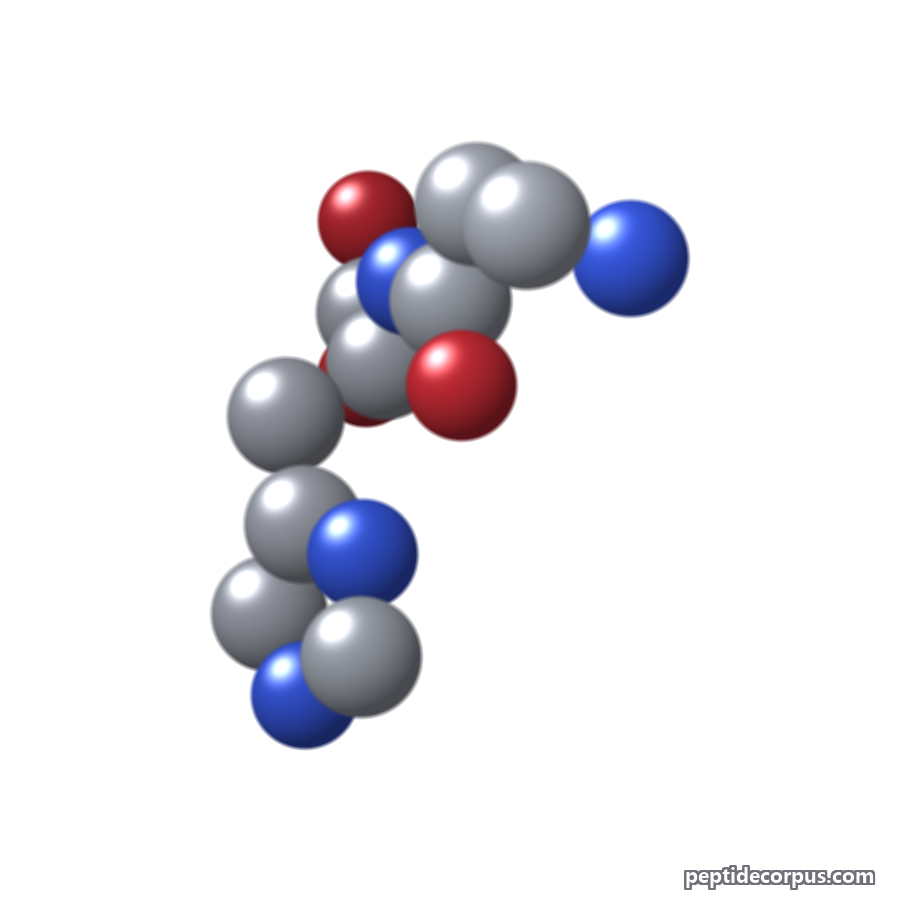 Space-filling 3D model of Carnosine, carbon grey, nitrogen blue, oxygen red