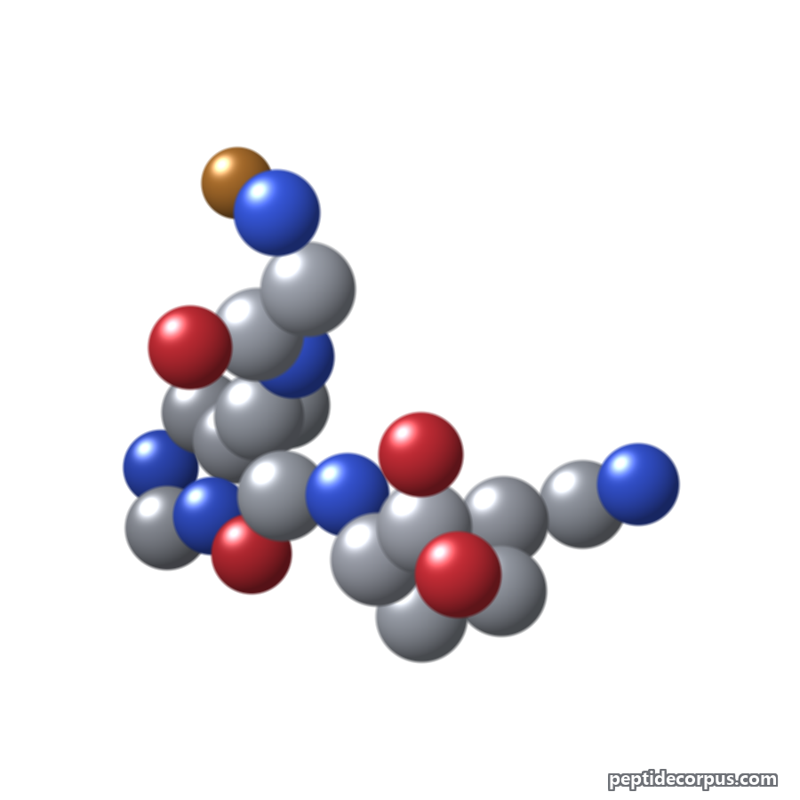 Space-filling 3D model of Copper Tripeptide-1, carbon grey, nitrogen blue, oxygen red
