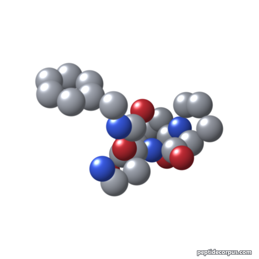 Space-filling 3D model of Dipeptide Diaminobutyroyl Benzylamide Diacetate, carbon grey, nitrogen blue, oxygen red