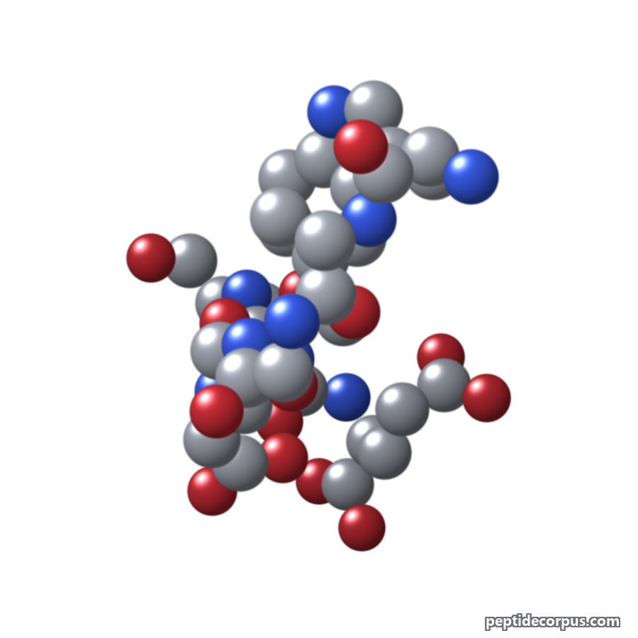 Space-filling 3D model of DSIP, carbon grey, nitrogen blue, oxygen red