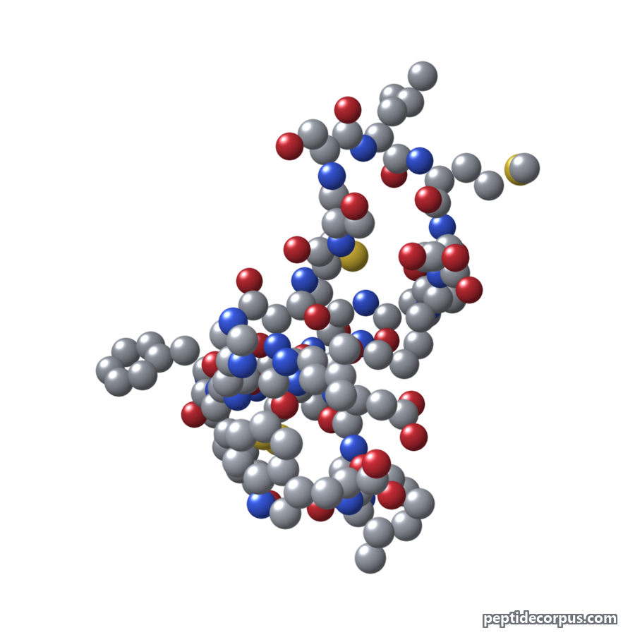 Space-filling 3D model of Endothelin-1, carbon grey, nitrogen blue, oxygen red
