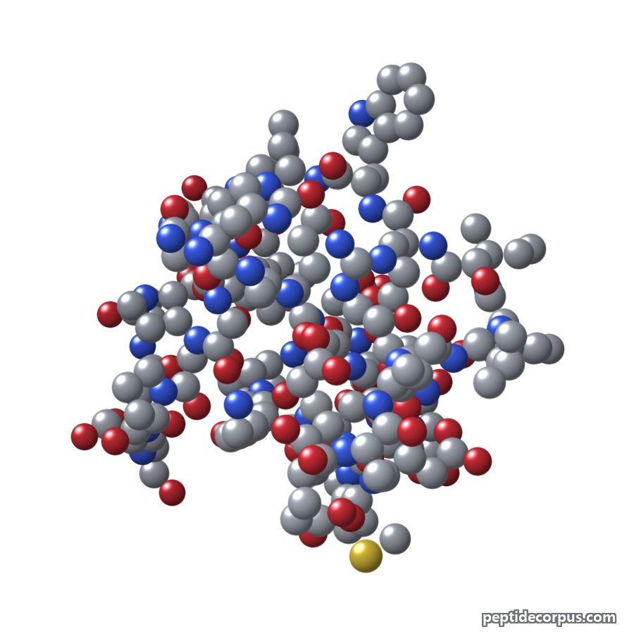 Space-filling 3D model of Exendin-4, carbon grey, nitrogen blue, oxygen red