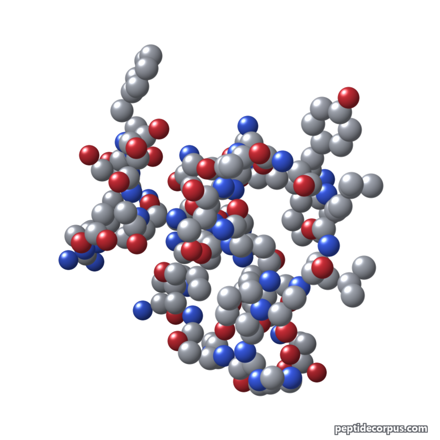 Space-filling 3D model of Galanin, carbon grey, nitrogen blue, oxygen red
