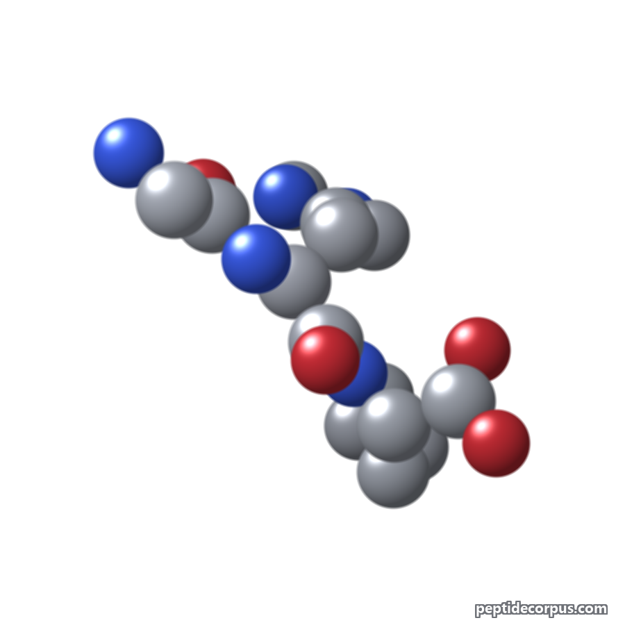 Space-filling 3D model of GHK (Glycyl-L-Histidyl-L-Lysine), carbon grey, nitrogen blue, oxygen red