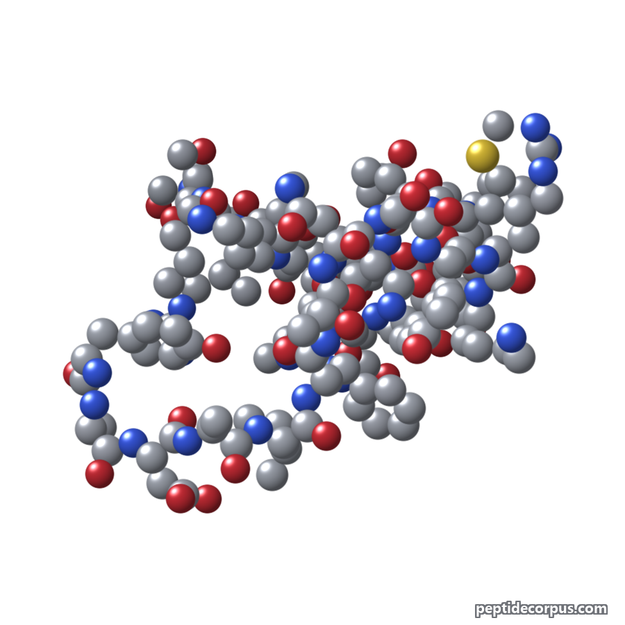 Space-filling 3D model of GHRH (Growth Hormone-Releasing Hormone), carbon grey, nitrogen blue, oxygen red