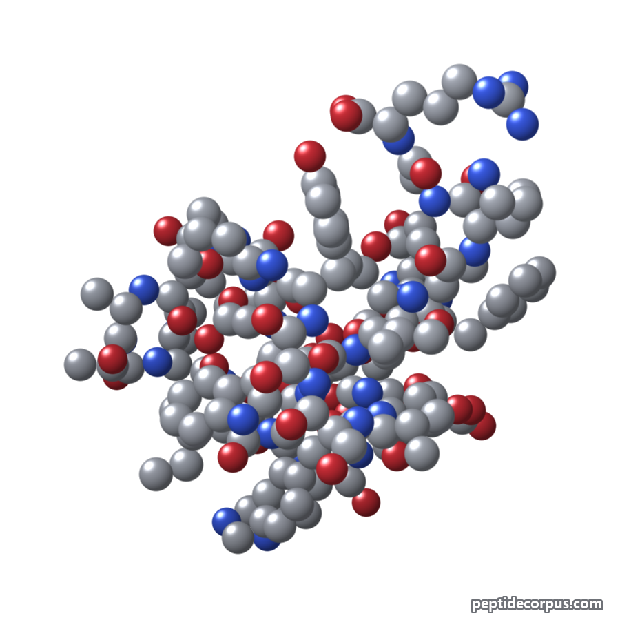 Space-filling 3D model of GLP-1 (7-36), carbon grey, nitrogen blue, oxygen red