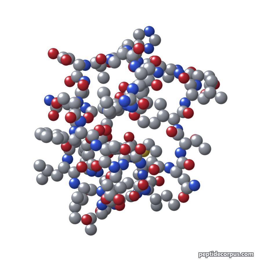 Space-filling 3D model of GLP-2 (Teduglutide), carbon grey, nitrogen blue, oxygen red