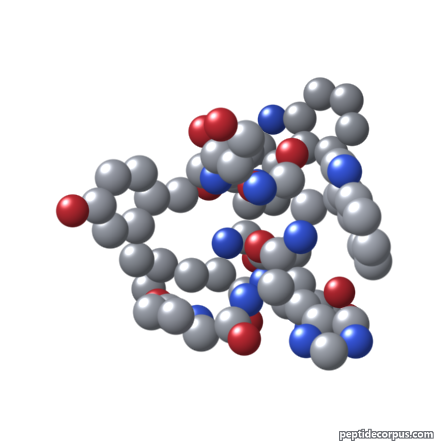 Space-filling 3D model of GnRH (Gonadotropin-Releasing Hormone), carbon grey, nitrogen blue, oxygen red