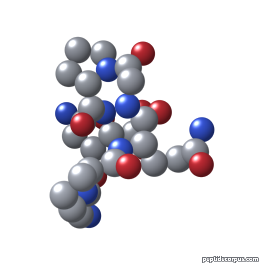 Space-filling 3D model of Hexapeptide-9, carbon grey, nitrogen blue, oxygen red