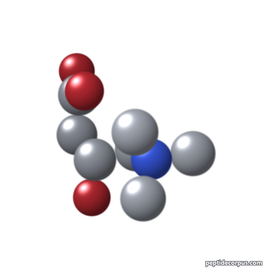 Space-filling 3D model of L-Carnitine, carbon grey, nitrogen blue, oxygen red