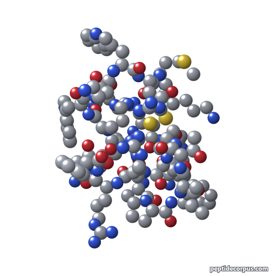 Space-filling 3D model of Lactoferricin, carbon grey, nitrogen blue, oxygen red