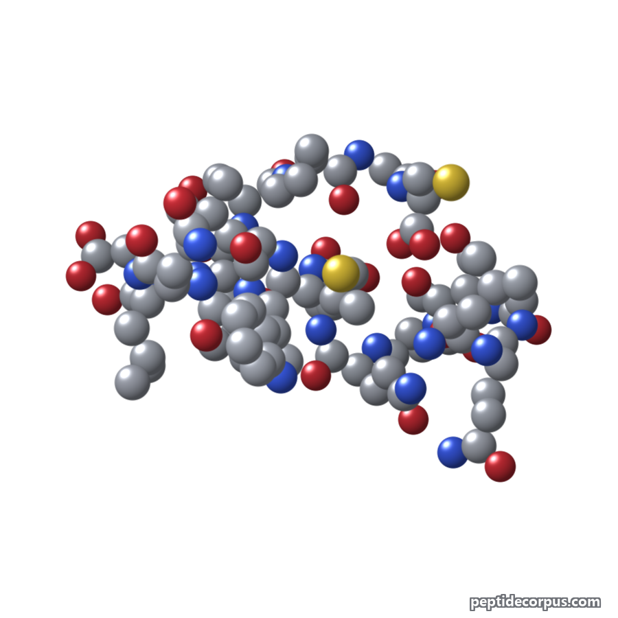 Space-filling 3D model of Leptin, carbon grey, nitrogen blue, oxygen red