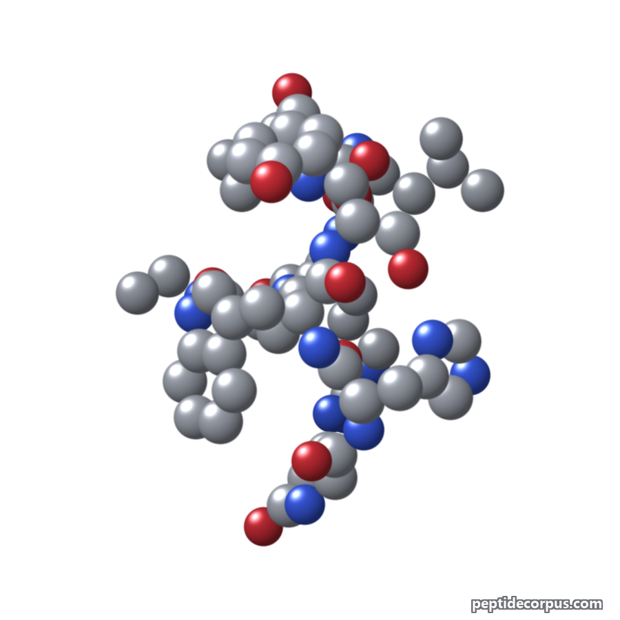 Space-filling 3D model of Leuprolide, carbon grey, nitrogen blue, oxygen red