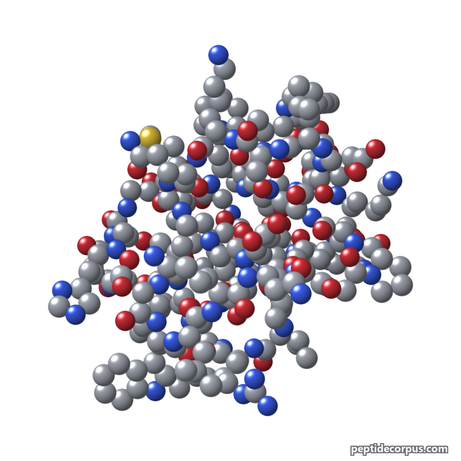 Space-filling 3D model of Lixisenatide, carbon grey, nitrogen blue, oxygen red
