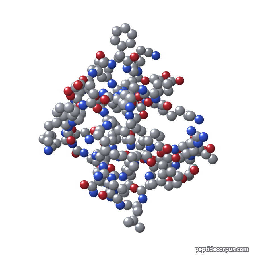 Space-filling 3D model of LL-37 (Cathelicidin), carbon grey, nitrogen blue, oxygen red