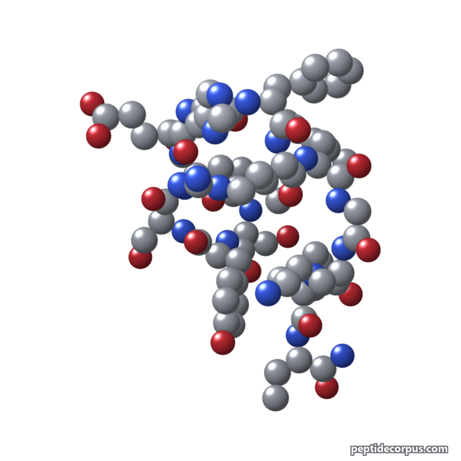 Space-filling 3D model of Melanotan I, carbon grey, nitrogen blue, oxygen red