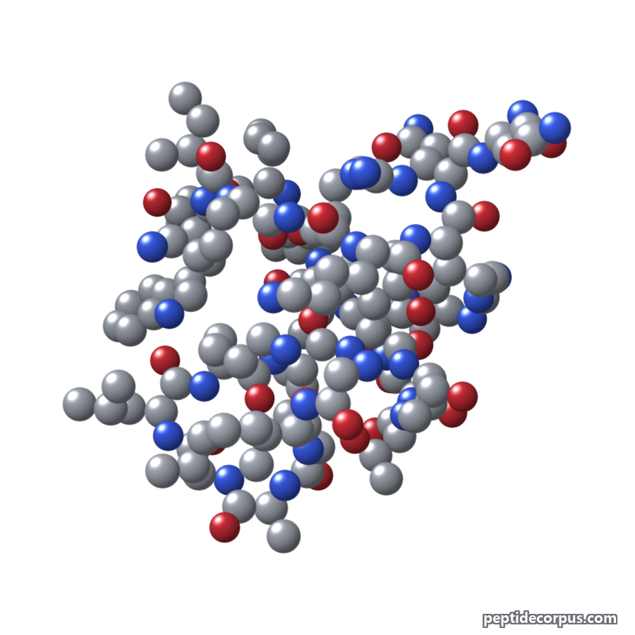 Space-filling 3D model of Melittin, carbon grey, nitrogen blue, oxygen red