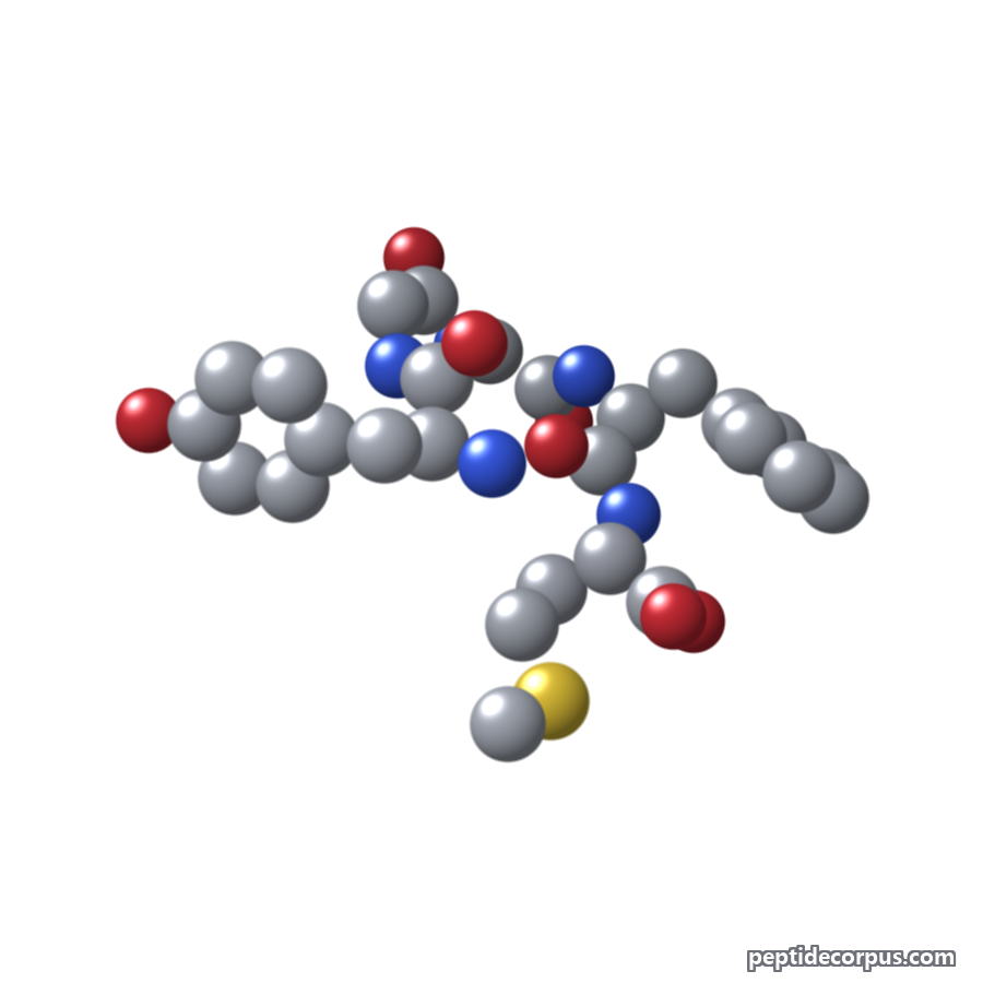 Space-filling 3D model of Met-Enkephalin, carbon grey, nitrogen blue, oxygen red