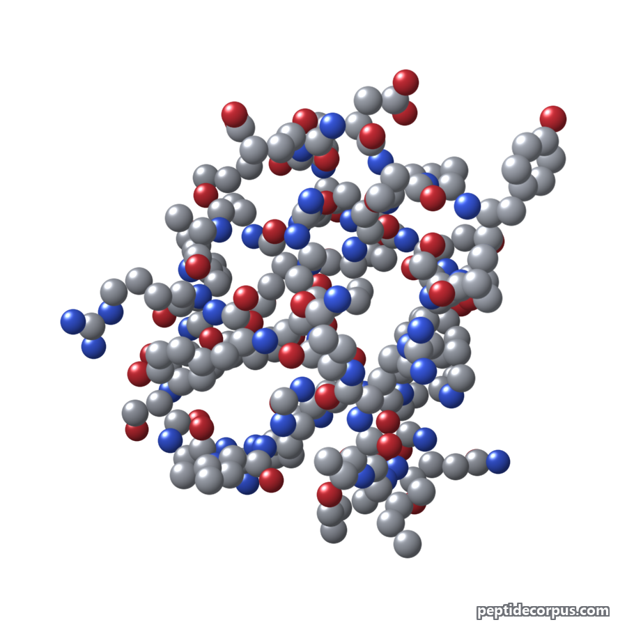 Space-filling 3D model of Neuropeptide Y, carbon grey, nitrogen blue, oxygen red