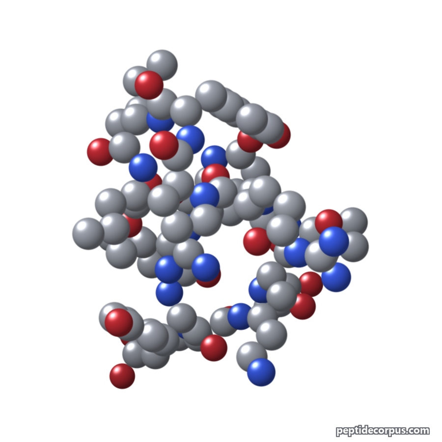 Space-filling 3D model of Neurotensin, carbon grey, nitrogen blue, oxygen red