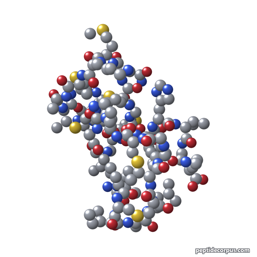 Space-filling 3D model of Nisin, carbon grey, nitrogen blue, oxygen red