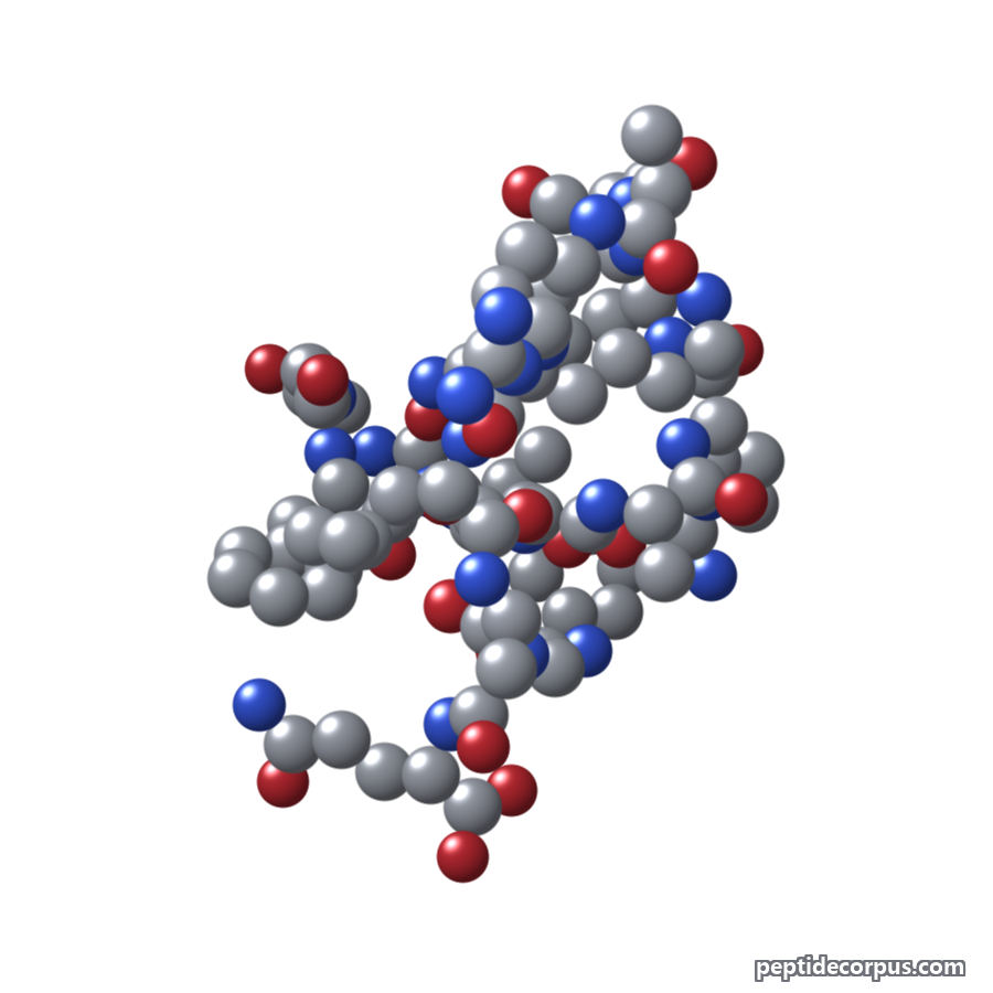 Space-filling 3D model of Nociceptin, carbon grey, nitrogen blue, oxygen red