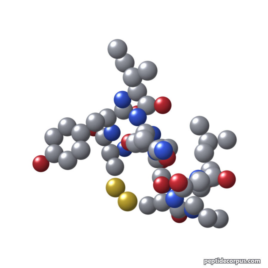 Space-filling 3D model of Oxytocin, carbon grey, nitrogen blue, oxygen red