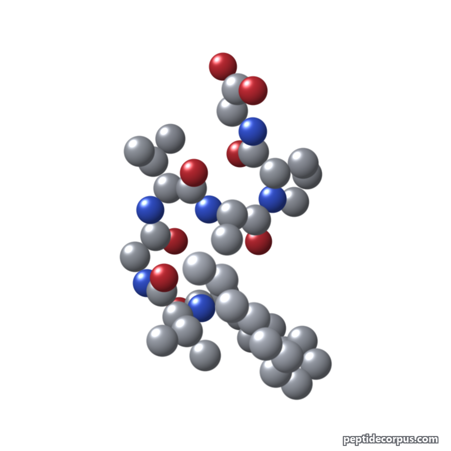 Space-filling 3D model of Palmitoyl Hexapeptide-12, carbon grey, nitrogen blue, oxygen red