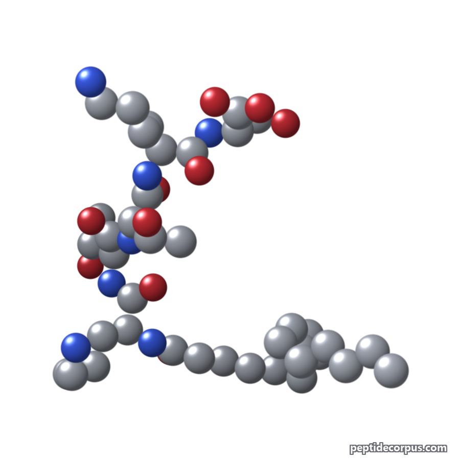 Space-filling 3D model of Palmitoyl Pentapeptide-4 (Matrixyl), carbon grey, nitrogen blue, oxygen red