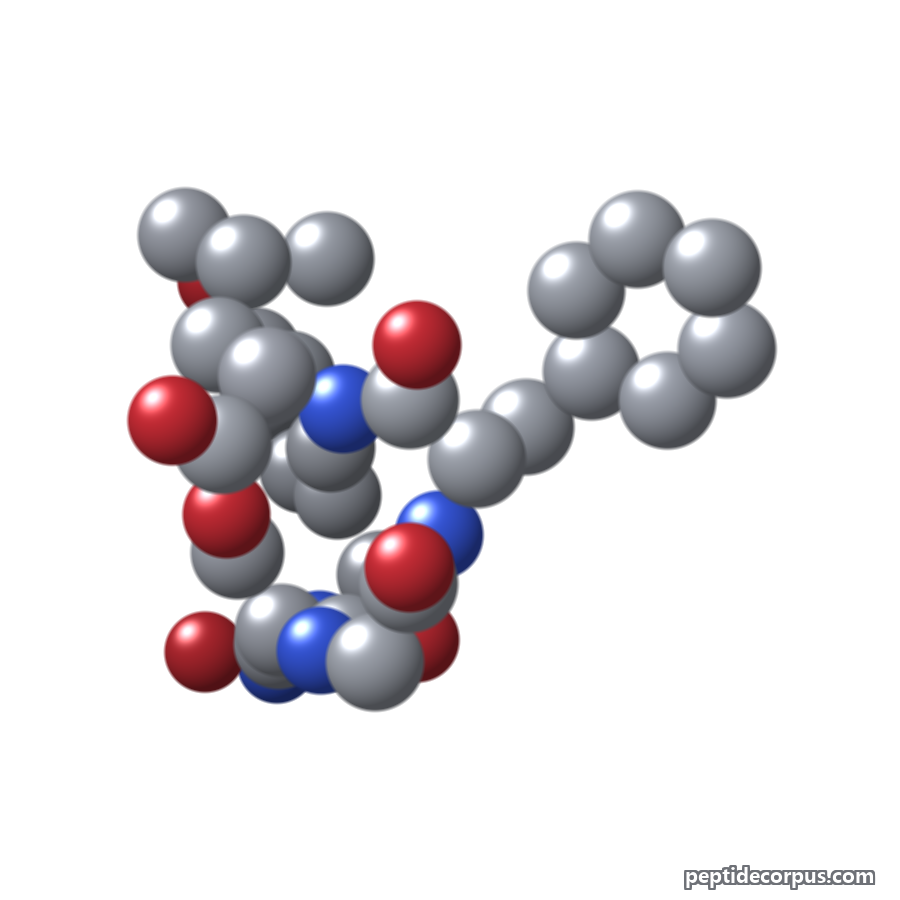 Space-filling 3D model of Pentapeptide-18, carbon grey, nitrogen blue, oxygen red