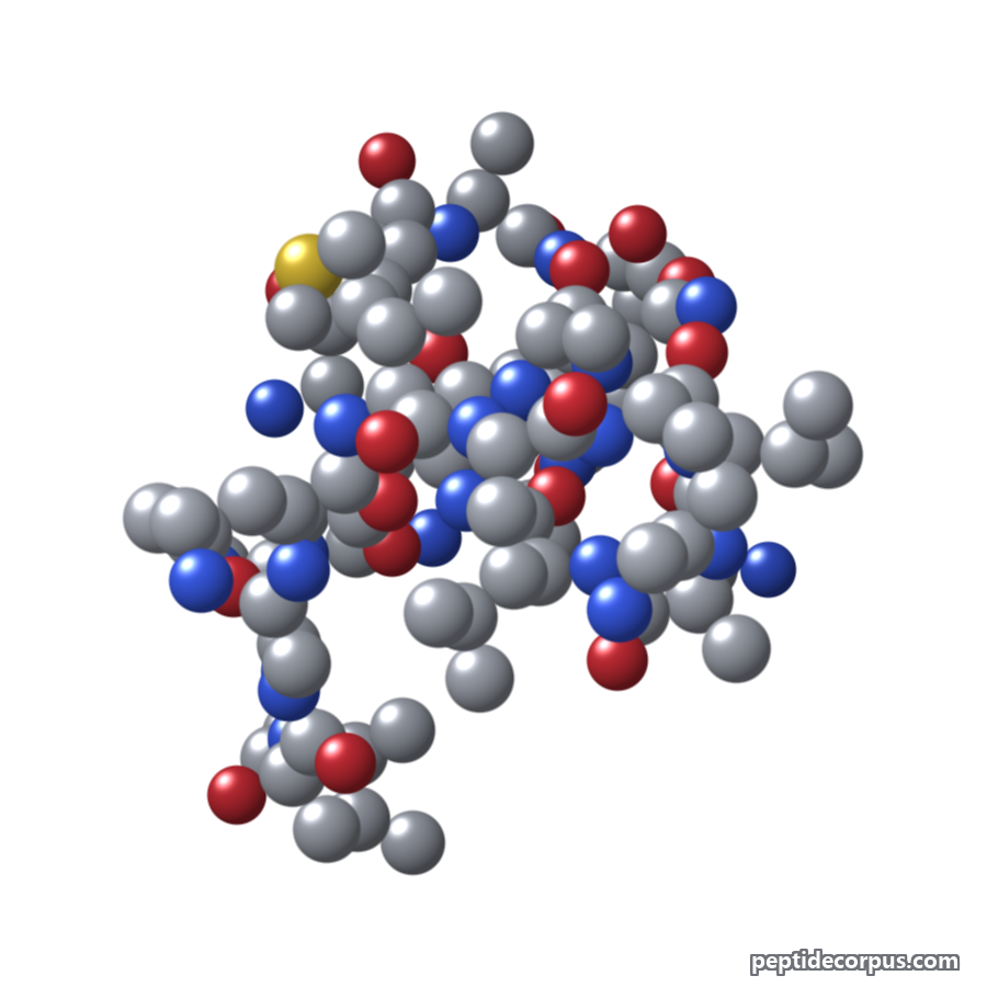 Space-filling 3D model of PGLa, carbon grey, nitrogen blue, oxygen red
