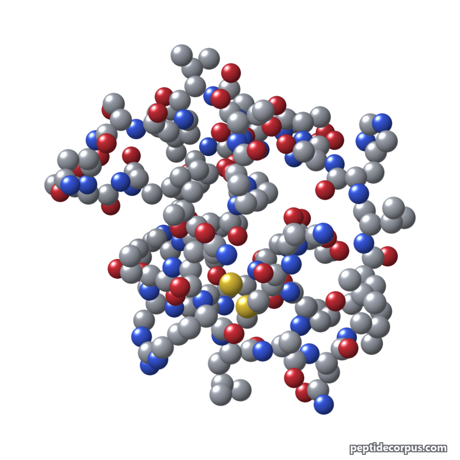 Space-filling 3D model of Pramlintide, carbon grey, nitrogen blue, oxygen red