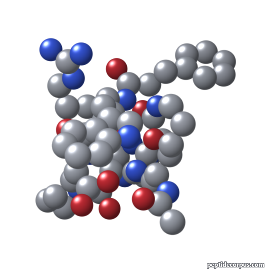 Space-filling 3D model of PT-141, carbon grey, nitrogen blue, oxygen red