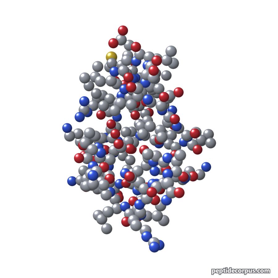 Space-filling 3D model of Sauvagine, carbon grey, nitrogen blue, oxygen red