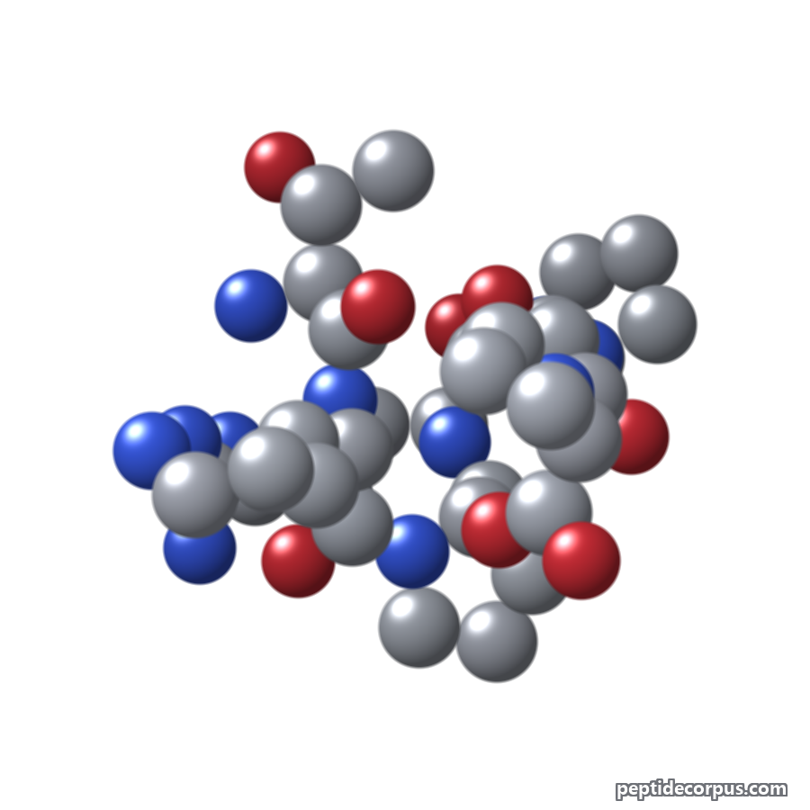 Space-filling 3D model of Selank, carbon grey, nitrogen blue, oxygen red